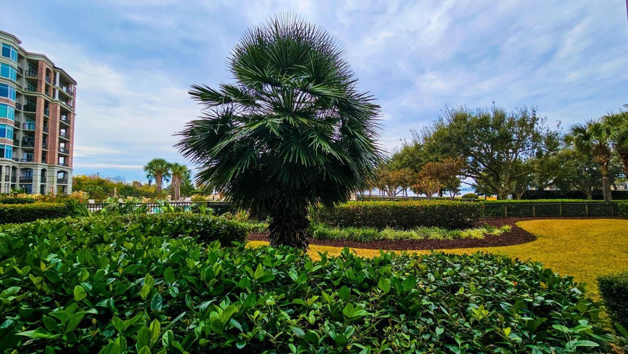 113 N Plaza Ct. Court Photo 45