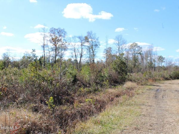 Lot 1 Richlands Road, Trenton, NC 28585