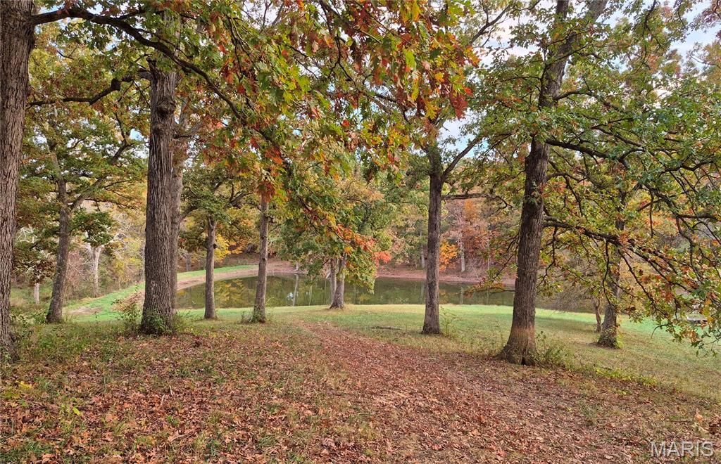 0 Highway D (15+/- Acres) Tract 11, Eolia, MO 63344 Main Photo