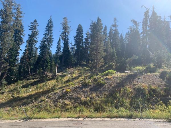 10 Palisades Drive, Kirkwood, CA 95646