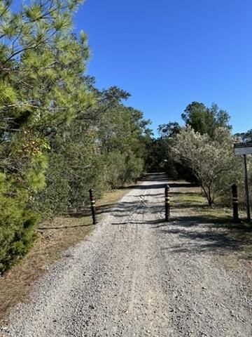 214 Clouter Creek Drive Photo 40