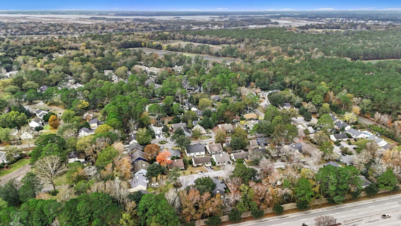 1131 Daffodil Lane Photo 36