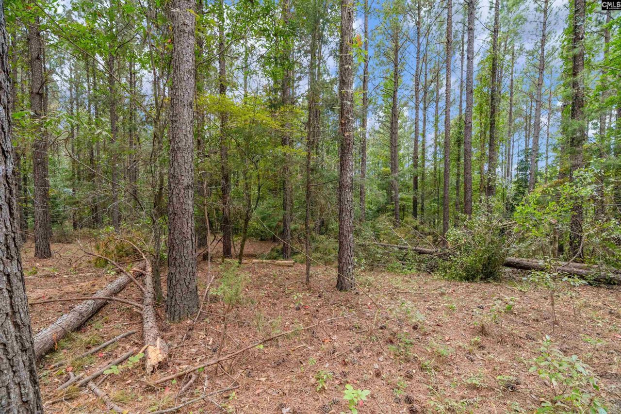 0000 Penner Road  Photo 32