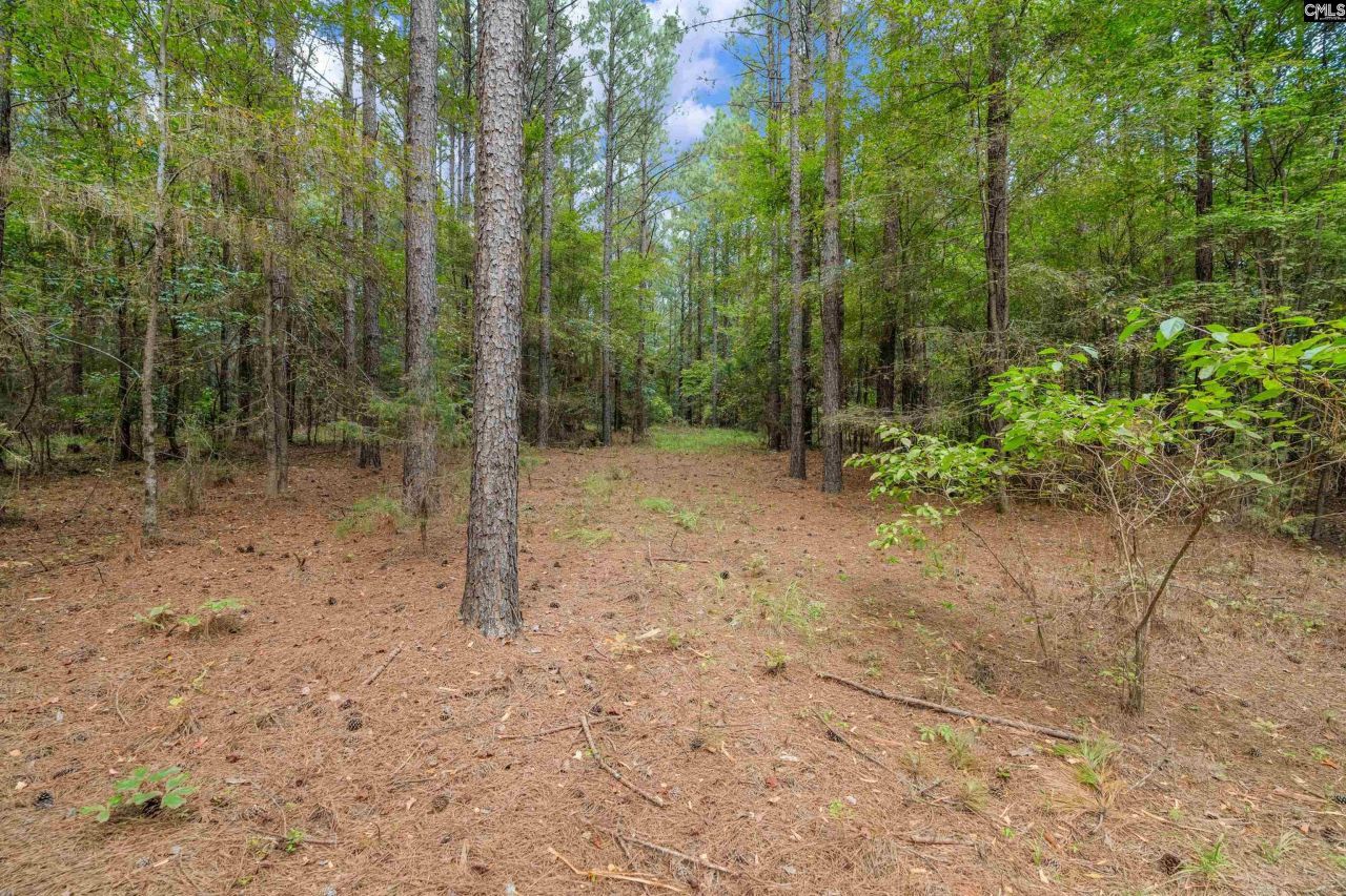 0000 Penner Road  Photo 33