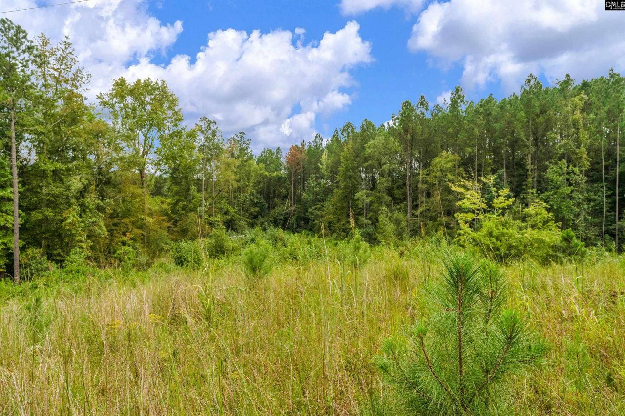 0000 Penner Road  Photo 39