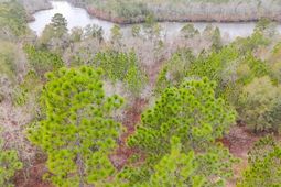 0 Browns Pond Road photo 4