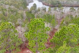 0 Browns Pond Road photo 4