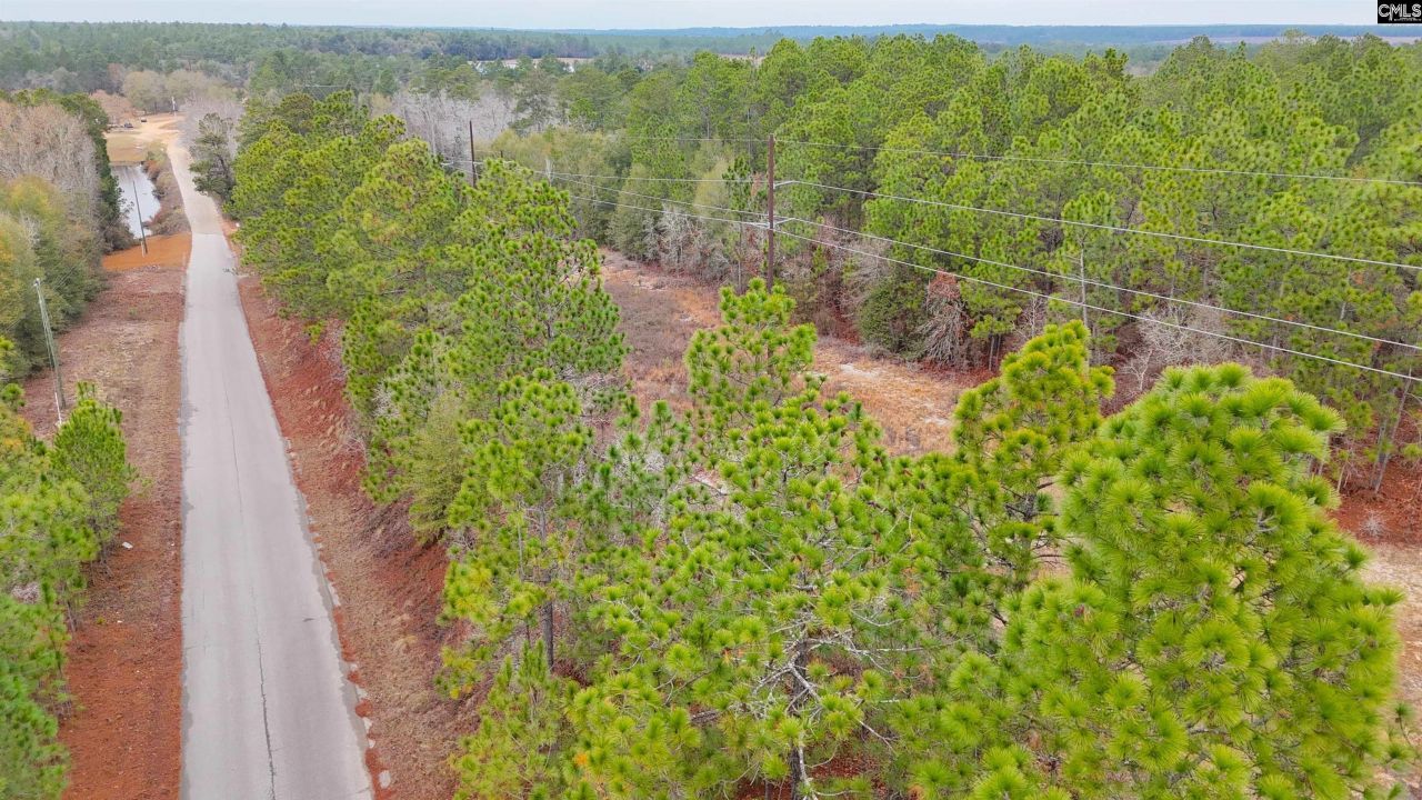 0 Browns Pond Road Photo 4