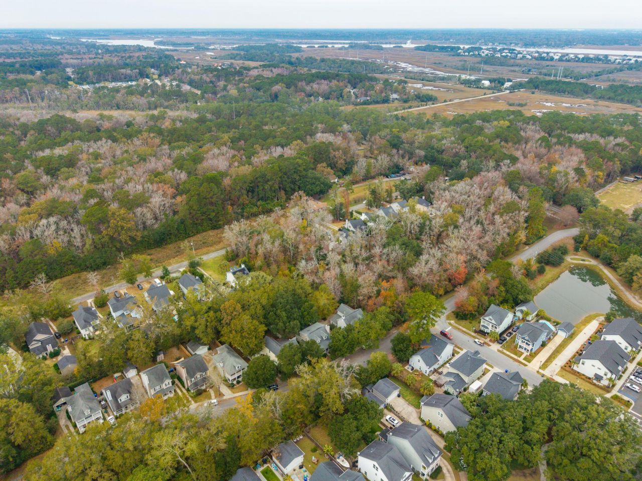 1635 Bee Balm Road Photo 41