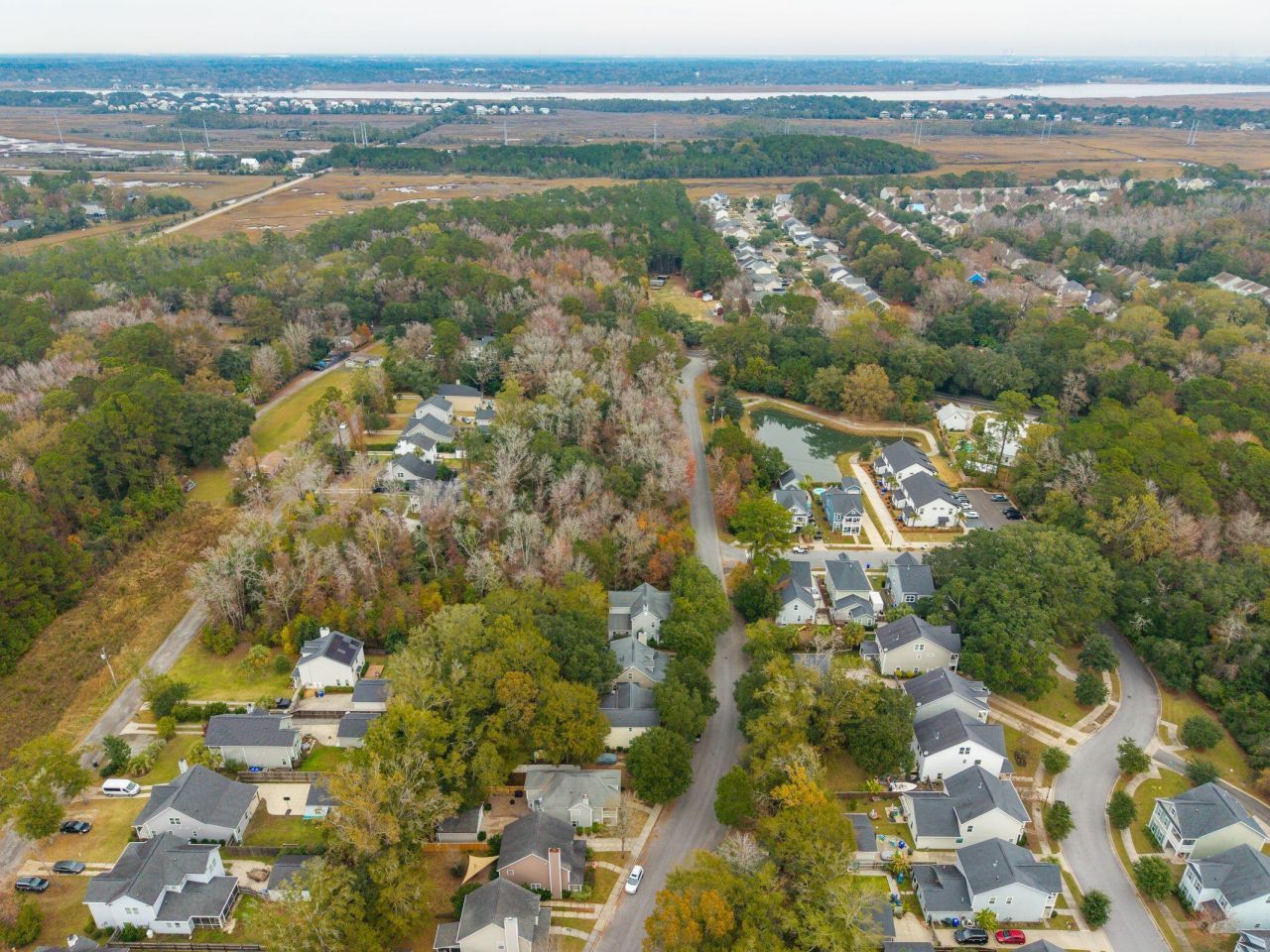 1635 Bee Balm Road Photo 42