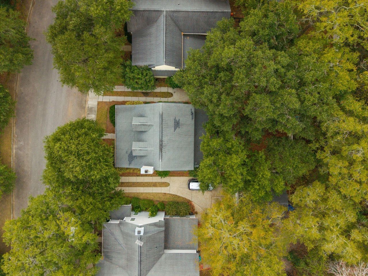 1635 Bee Balm Road Photo 46