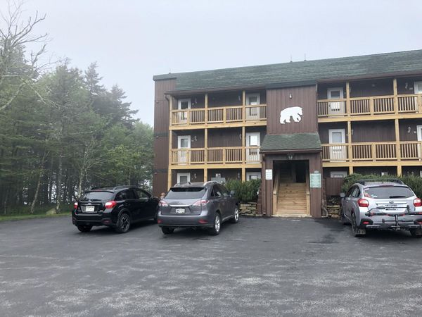 52 Mountain Crest Dr, Snowshoe, WV 26209