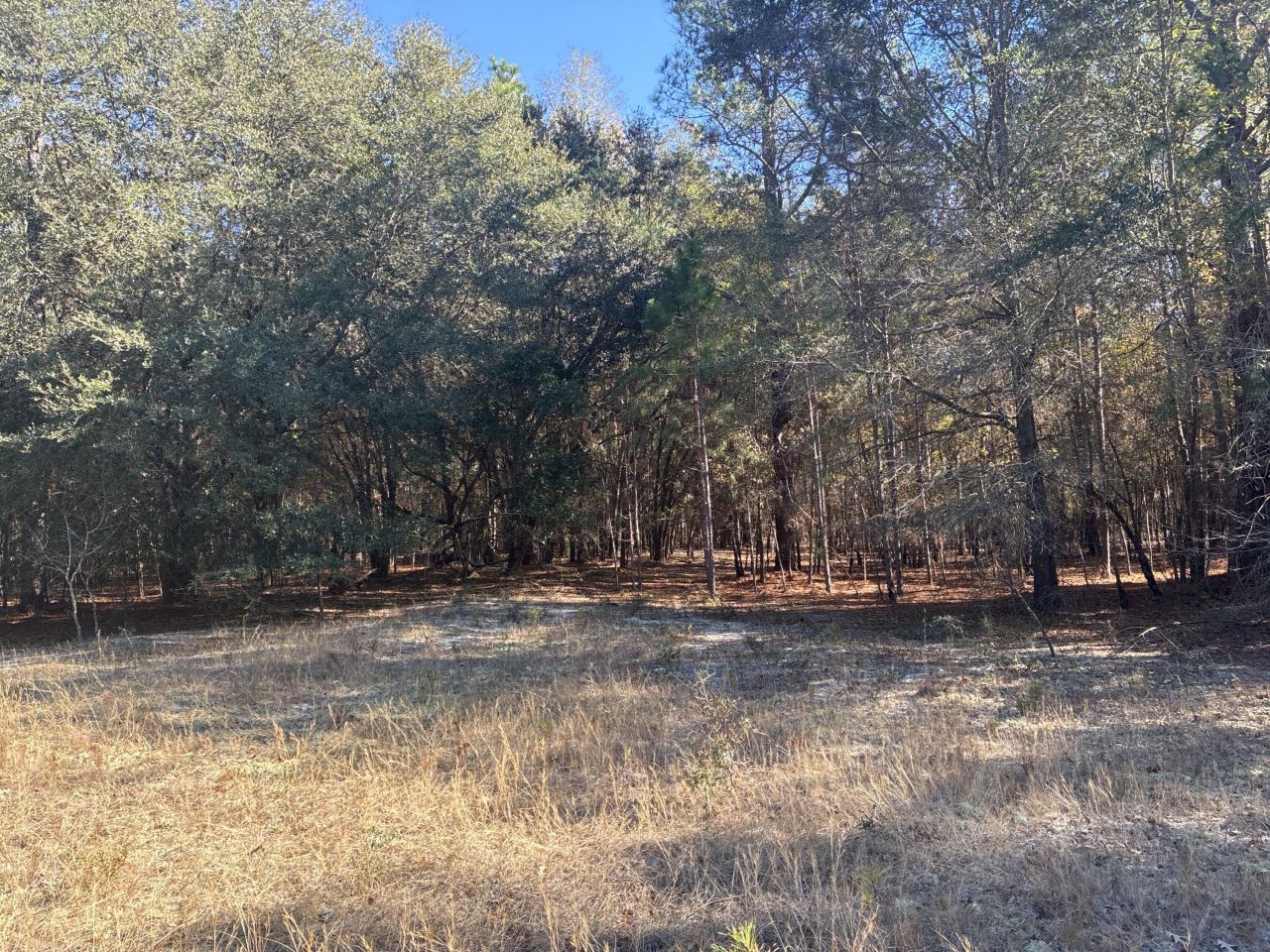 00 Tyler Road Photo 10