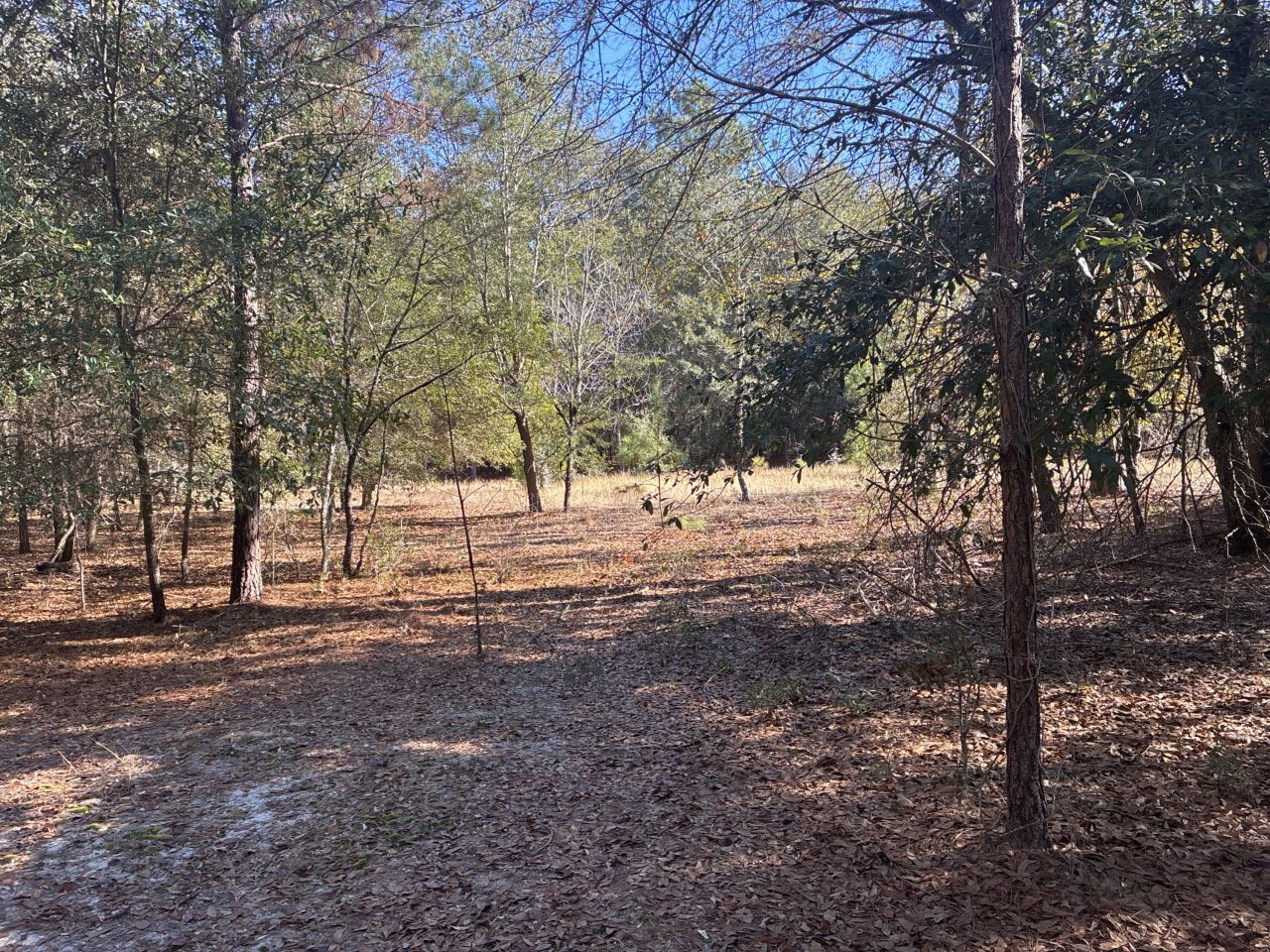 00 Tyler Road Photo 11