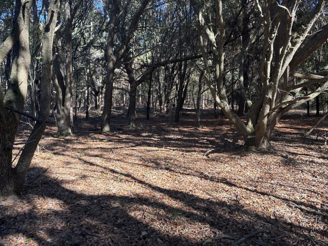 00 Tyler Road Photo 14