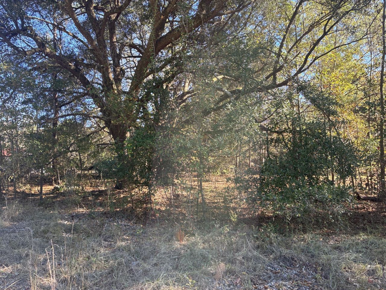 00 Tyler Road Photo 15