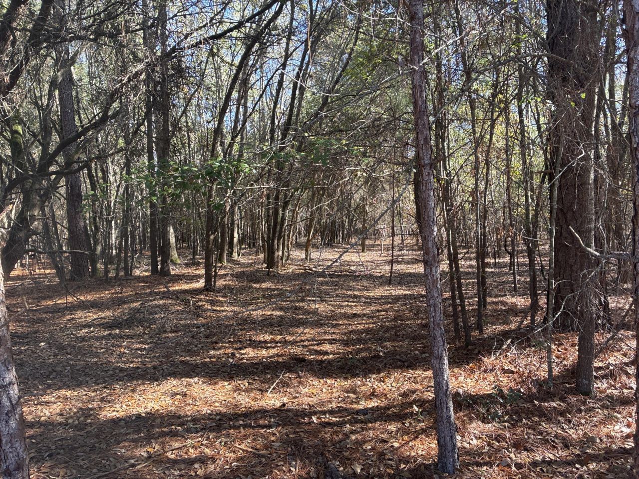 00 Tyler Road Photo 8