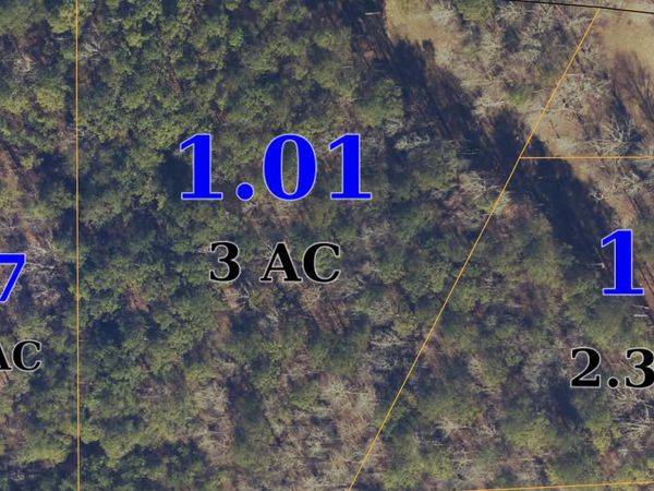 O CR 3487, New Site, MS 38859