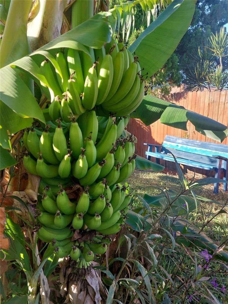 3303 Florida Boulevard, Bradenton, FL 34207 Photo