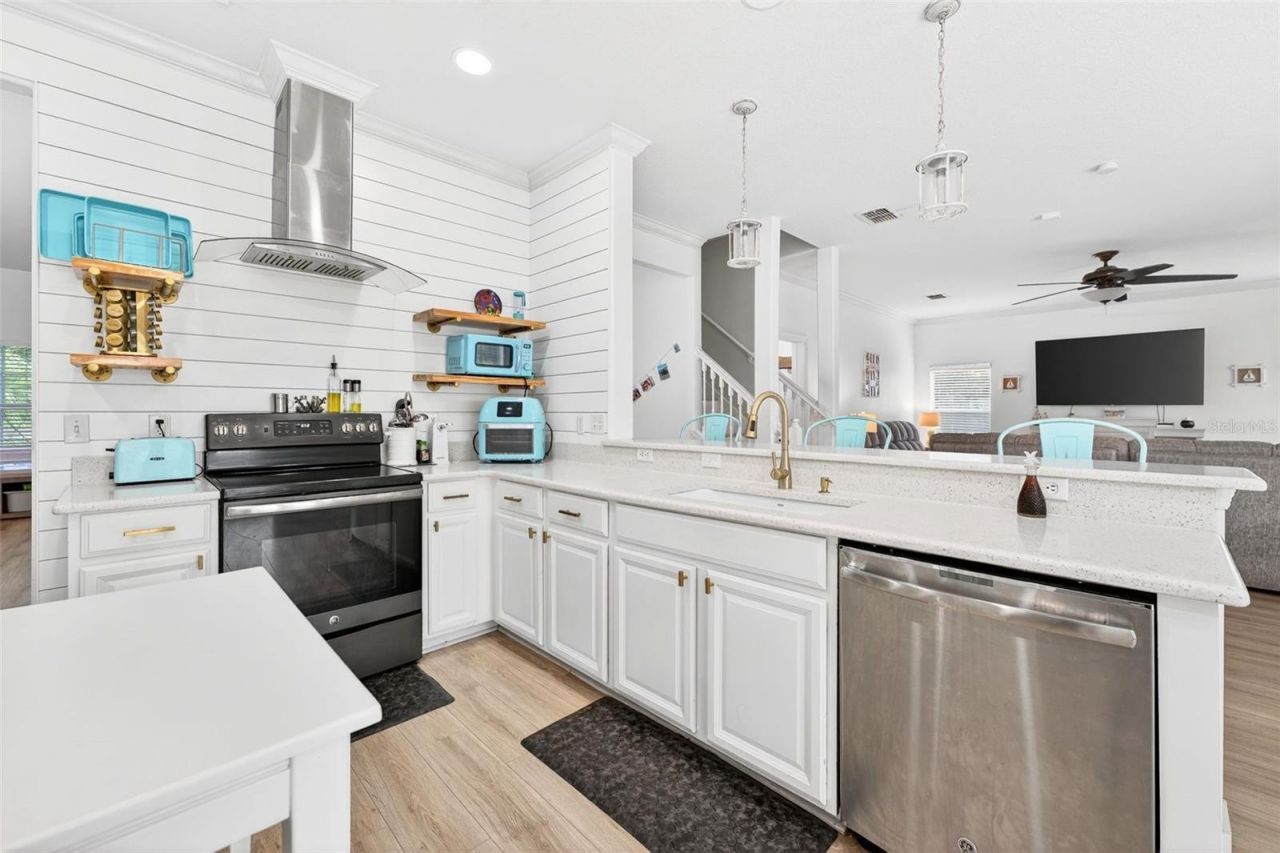 20930 Sullivan Ranch Boulevard, Mount Dora, FL 32757 Photo