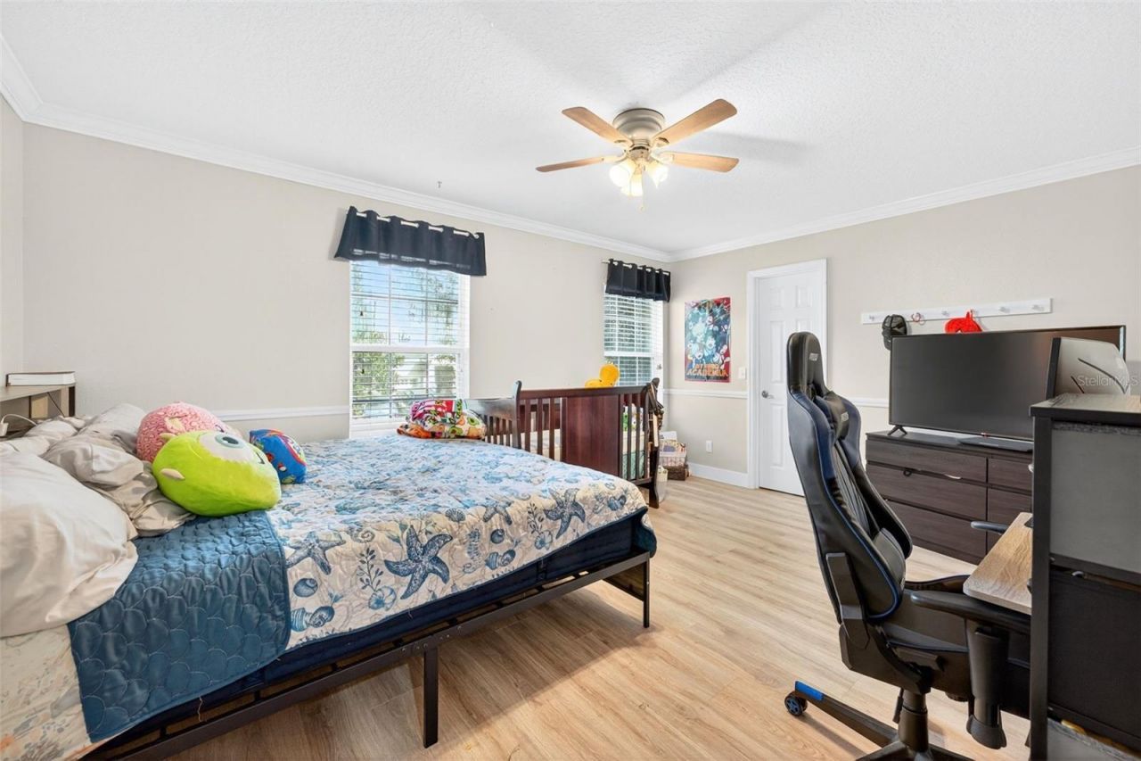 20930 Sullivan Ranch Boulevard, Mount Dora, FL 32757 Photo