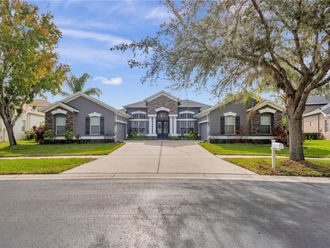 1031 EMERALD HILL WAY Valrico, FL 33594