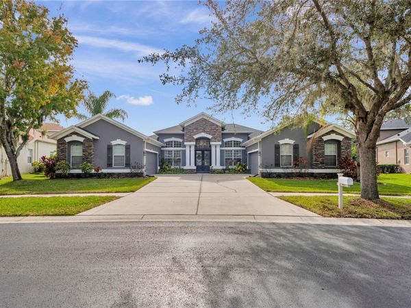 1031 EMERALD HILL WAY, VALRICO, FL 33594