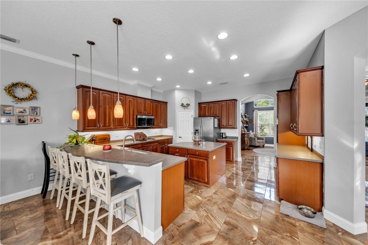 1031 Emerald Hill Way, Valrico, FL 33594 Photo