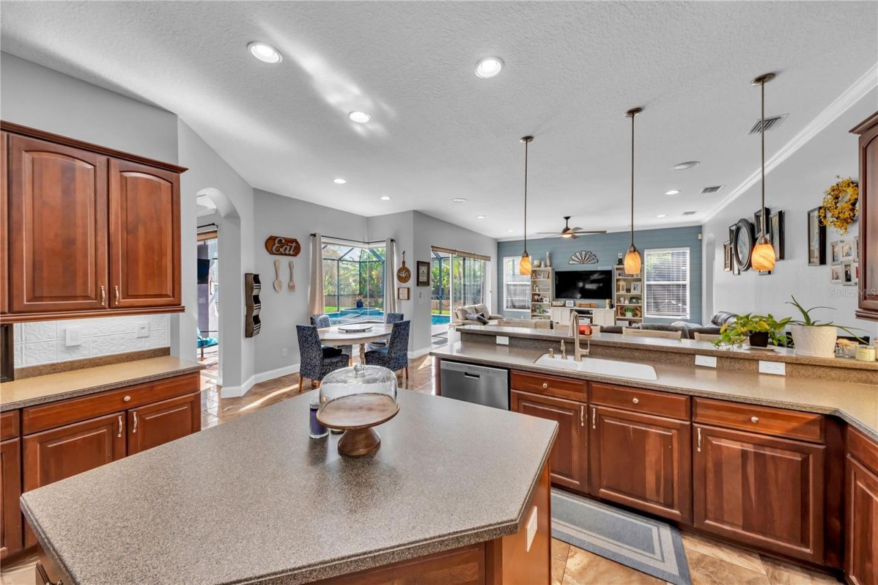 1031 Emerald Hill Way, Valrico, FL 33594 Photo