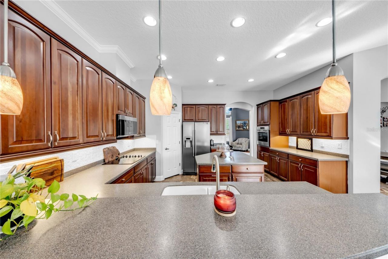 1031 Emerald Hill Way, Valrico, FL 33594 Photo