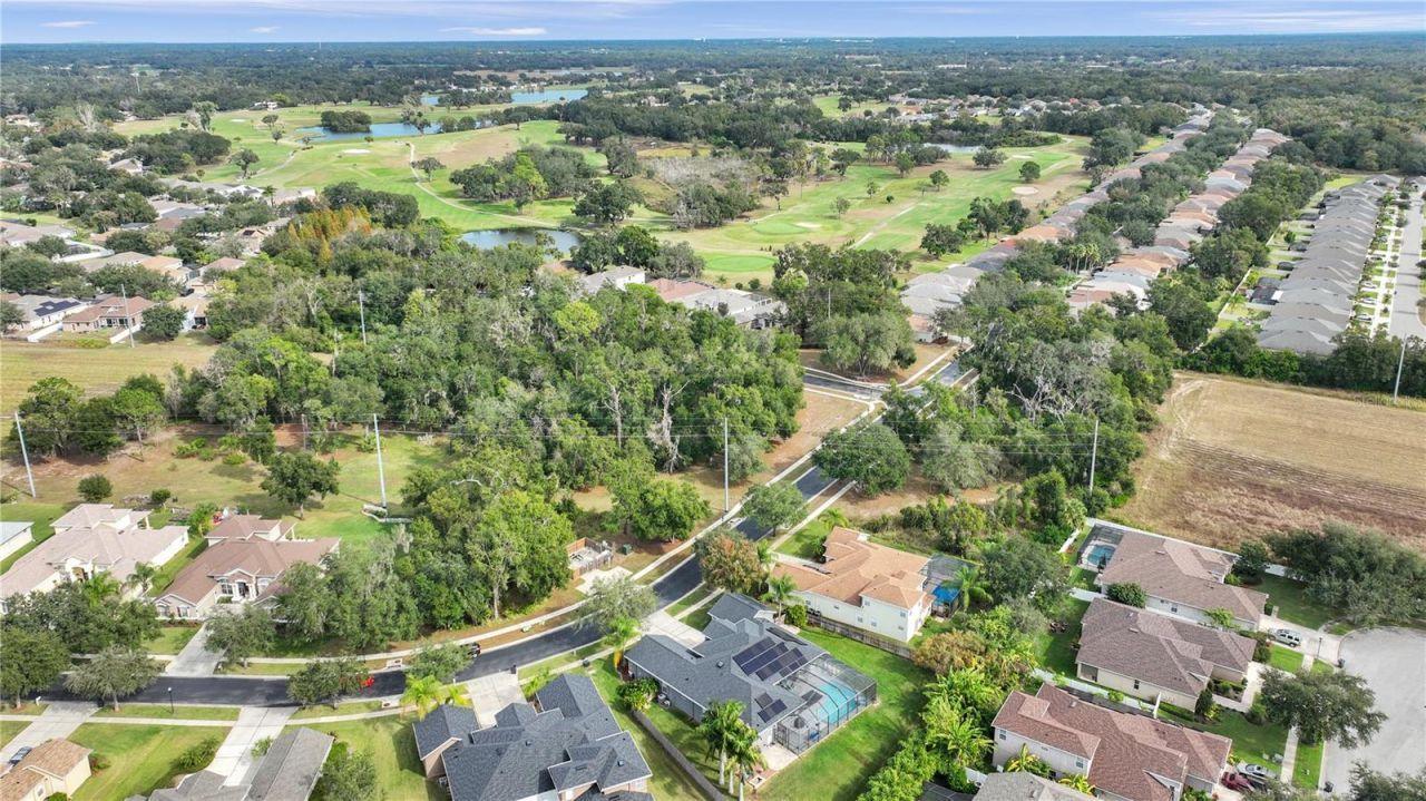 1031 Emerald Hill Way, Valrico, FL 33594 Photo