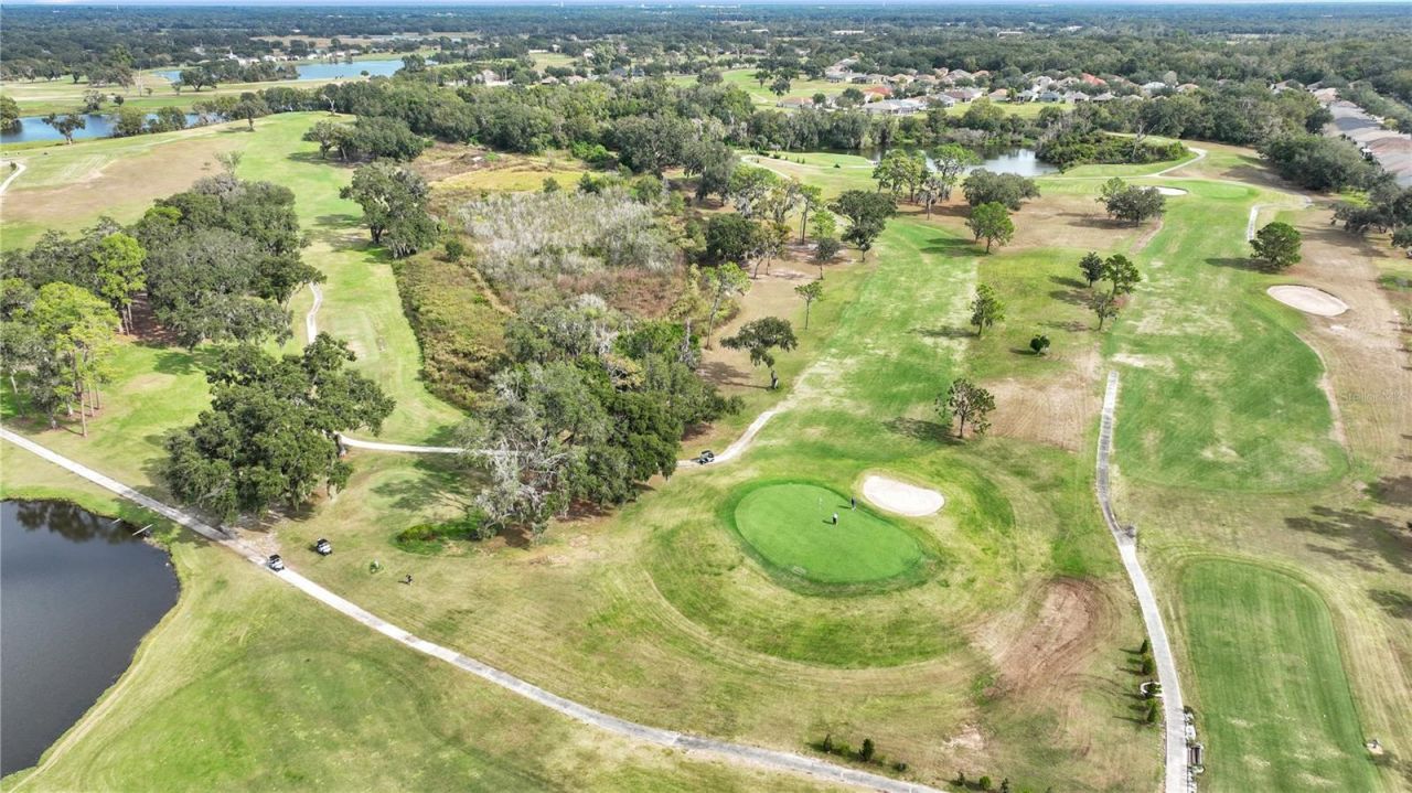 1031 Emerald Hill Way, Valrico, FL 33594 Photo