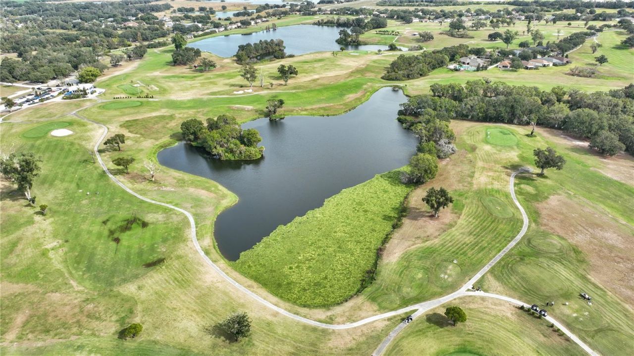 1031 Emerald Hill Way, Valrico, FL 33594 Photo