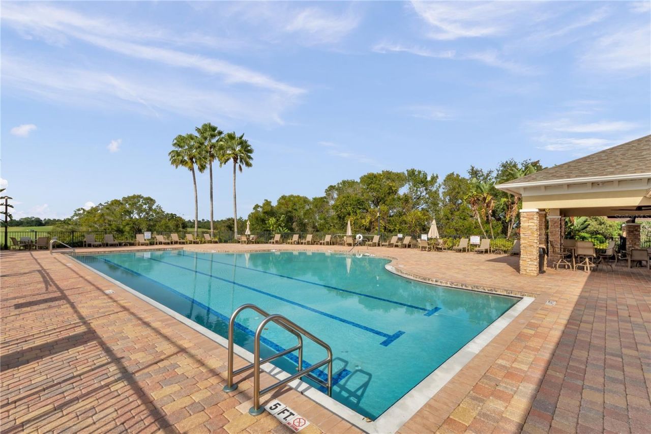 1031 Emerald Hill Way, Valrico, FL 33594 Photo