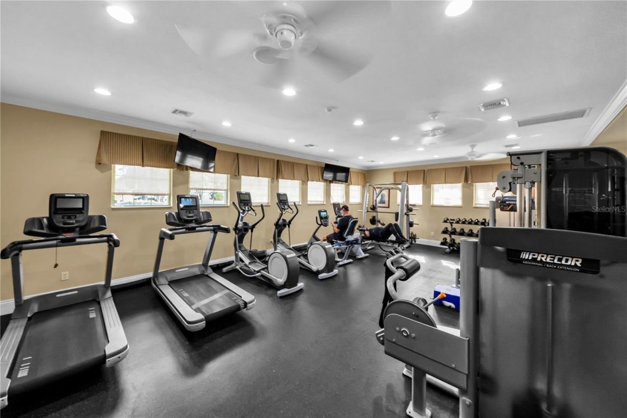 1031 Emerald Hill Way, Valrico, FL 33594 Photo