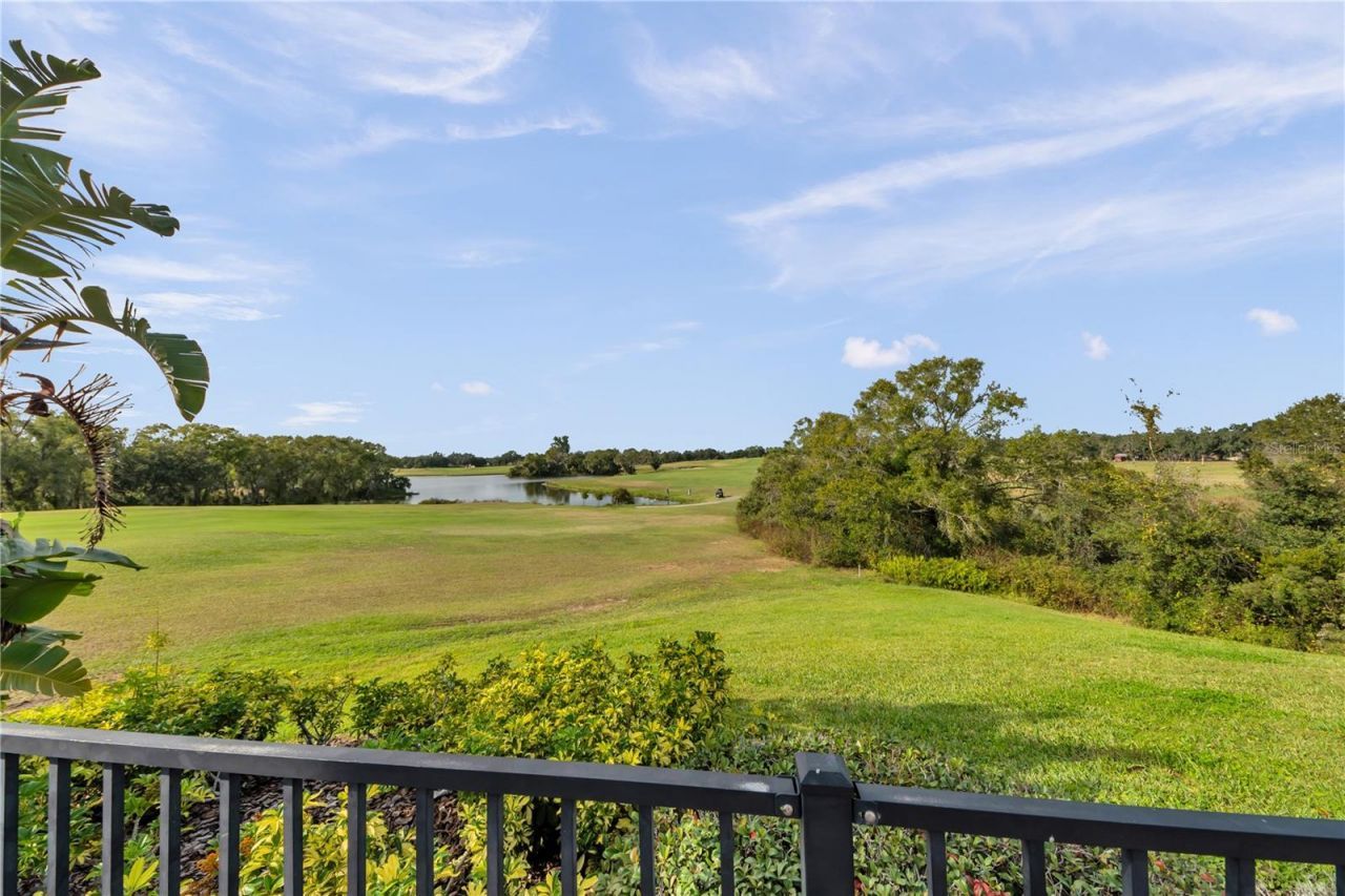 1031 Emerald Hill Way, Valrico, FL 33594 Photo