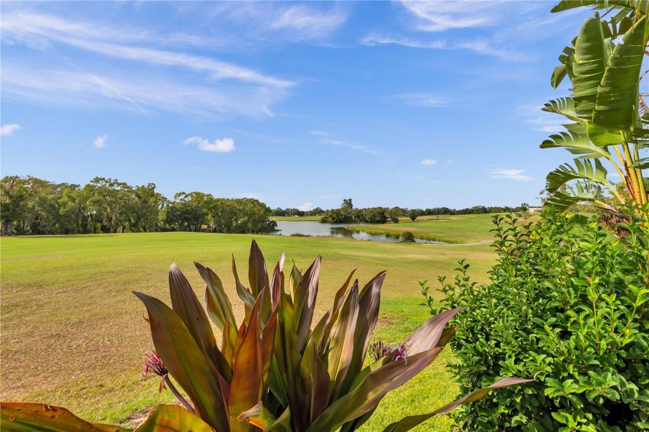 1031 Emerald Hill Way, Valrico, FL 33594 Photo