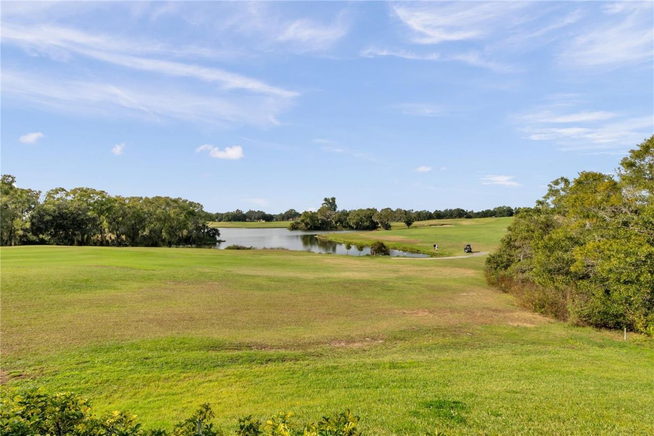 1031 Emerald Hill Way, Valrico, FL 33594 Photo