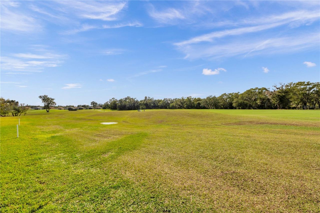 1031 Emerald Hill Way, Valrico, FL 33594 Photo