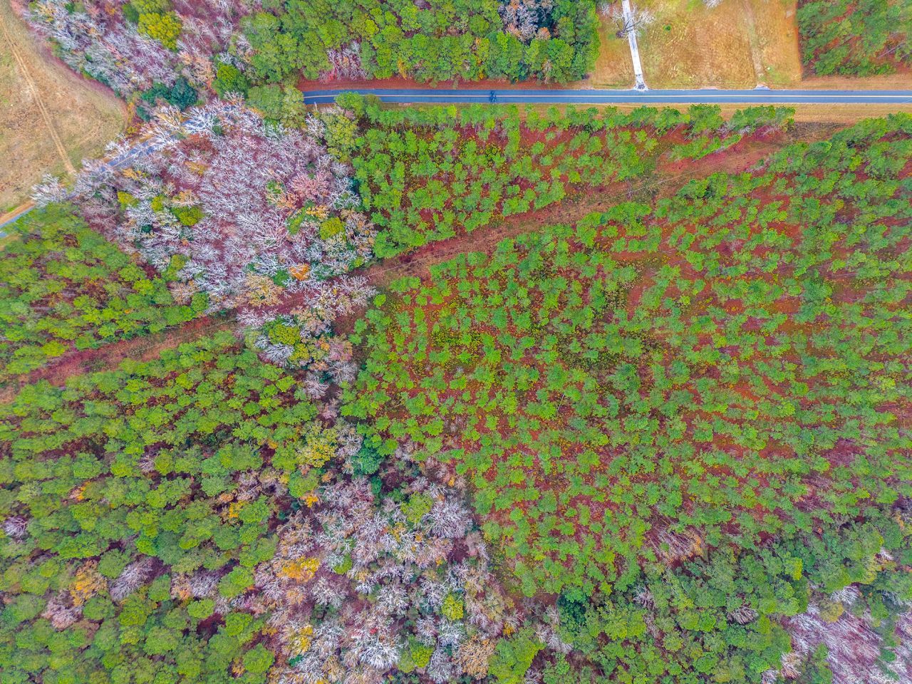 00 Shuler Belt Road Photo 24