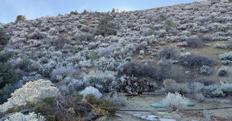 1166 Slate Road, Topaz Ranch Estates, NV 89444 Photo