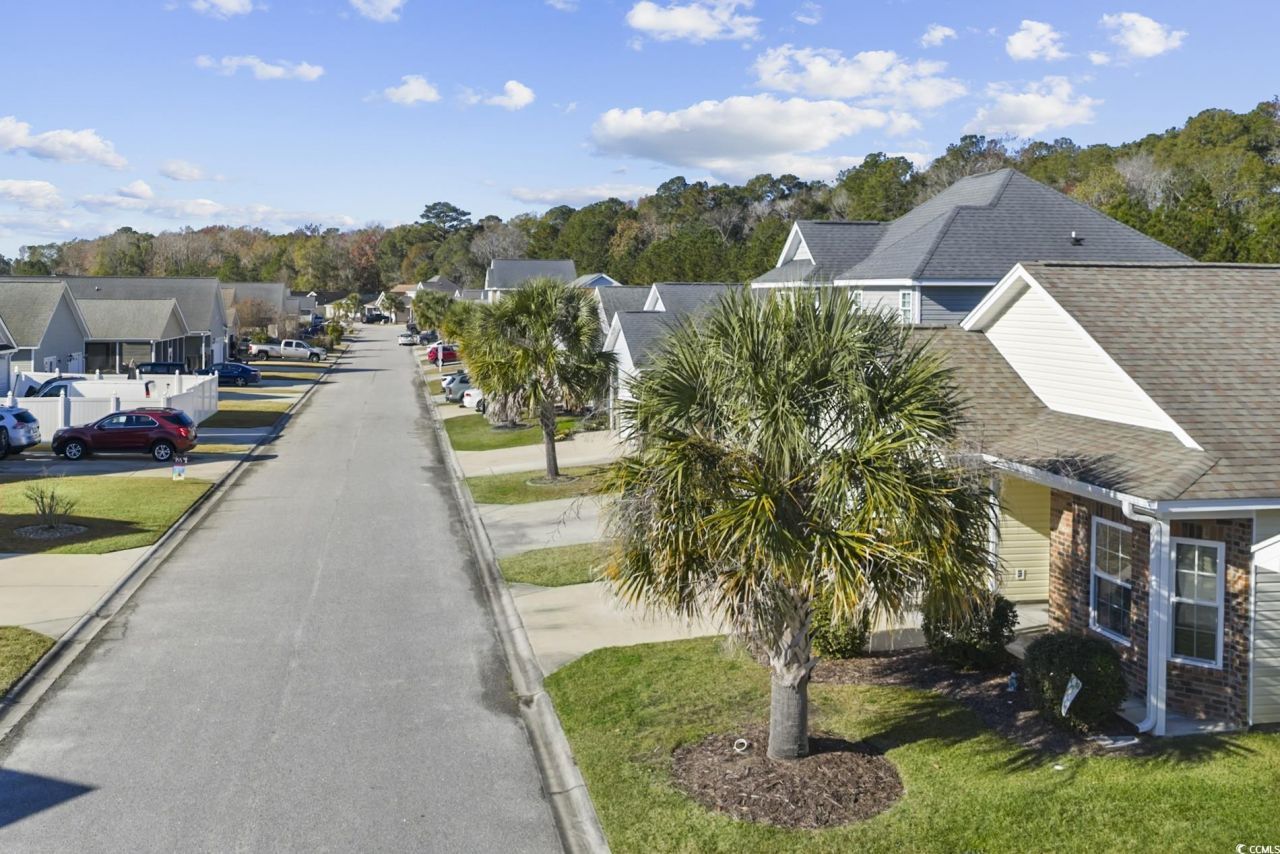 228 Palm Cove Circle Photo 32