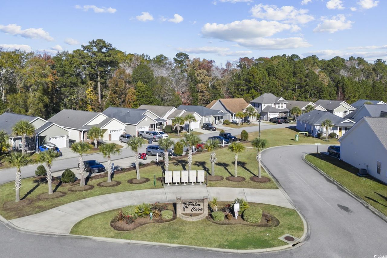 228 Palm Cove Circle Photo 40