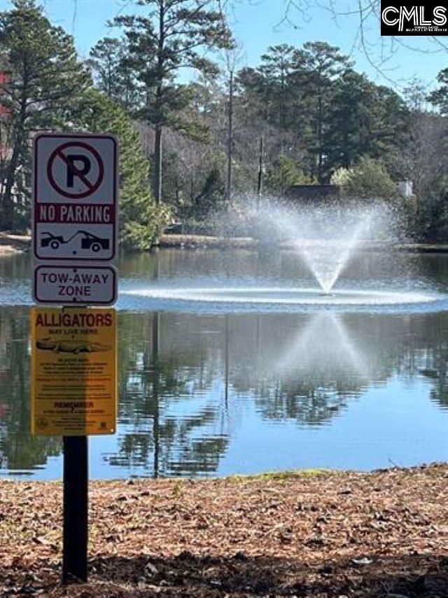 81 Ridge Lake Drive Photo 21