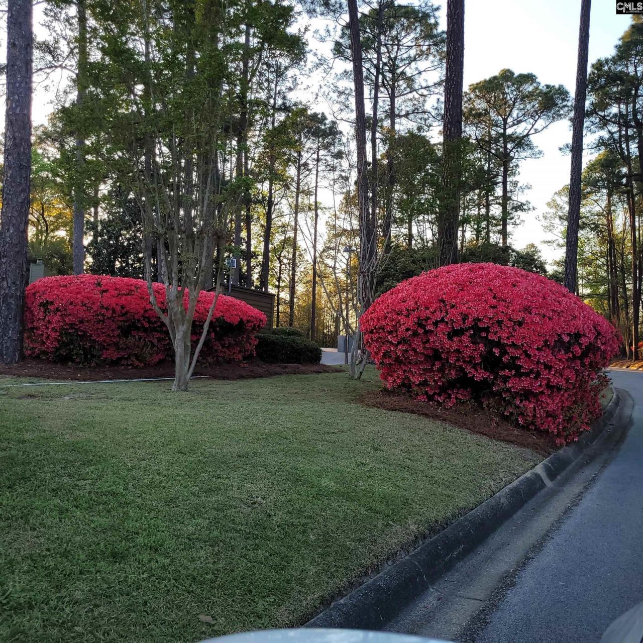 81 Ridge Lake Drive Photo 22