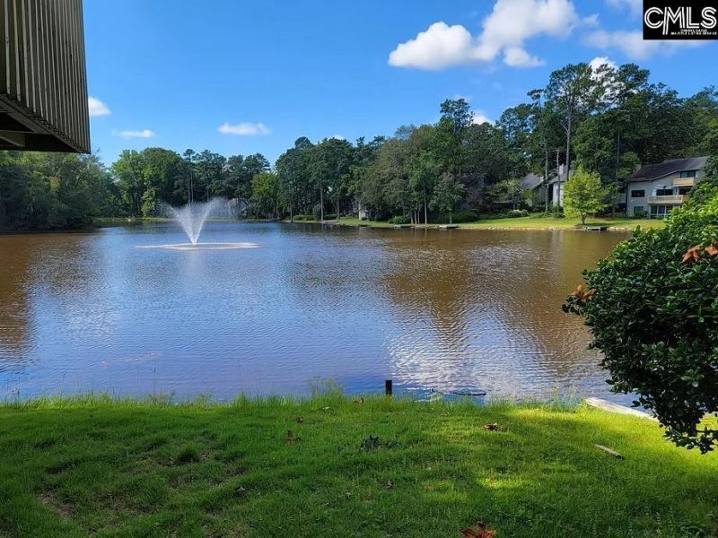 81 Ridge Lake Drive Photo 28