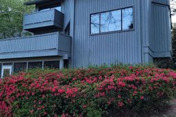 81 Ridge Lake Drive photo 4