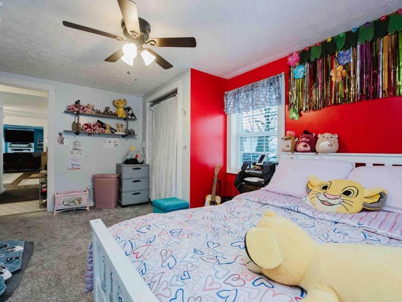 104 Brailey Street, Castalia, OH 44824 Photo 28