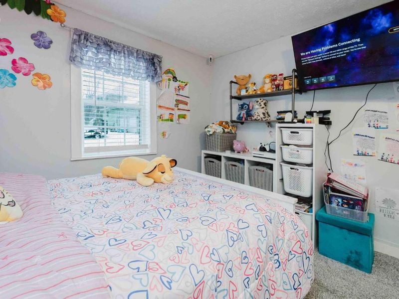 104 Brailey Street, Castalia, OH 44824 Photo 29