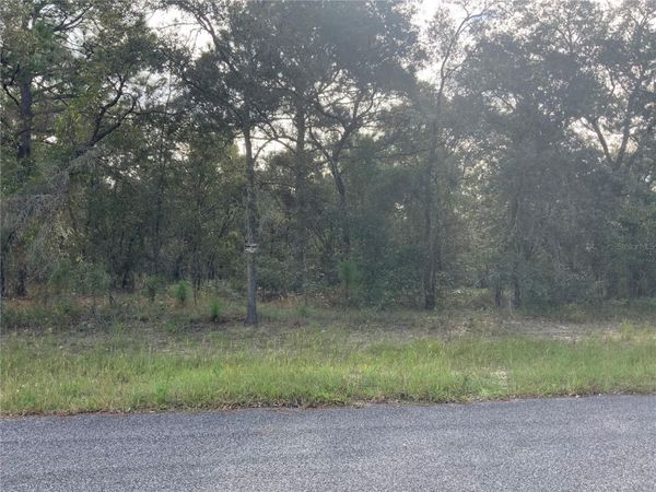 00 SE 136TH.  LOT 9 TERRACE, MORRISTON, FL 32668